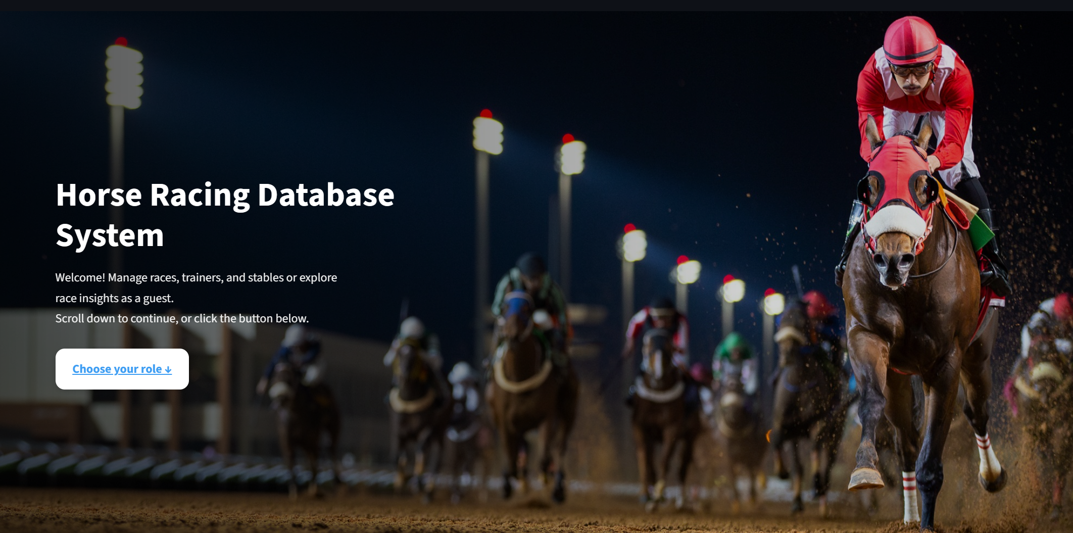 Horse App project screenshot